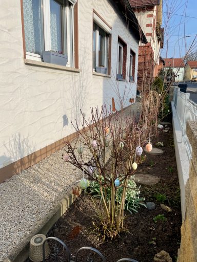 Frühlingserwachen mit bunten Ostereiern an einem Strauch neben einem Fenster.